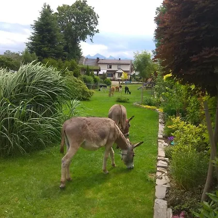 ファームステイ Goscinne Jurgowianka