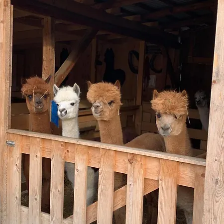 Goscinne Jurgowianka ファームステイ