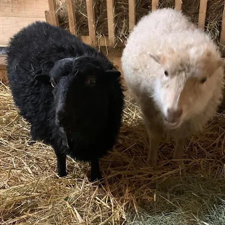 ファームステイ Goscinne Jurgowianka Jurgów