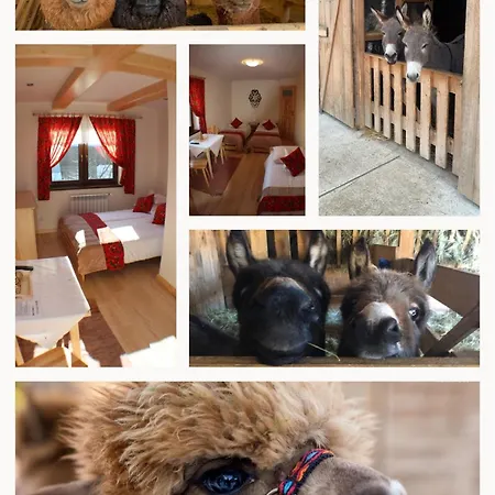 Goscinne Jurgowianka * Jurgów