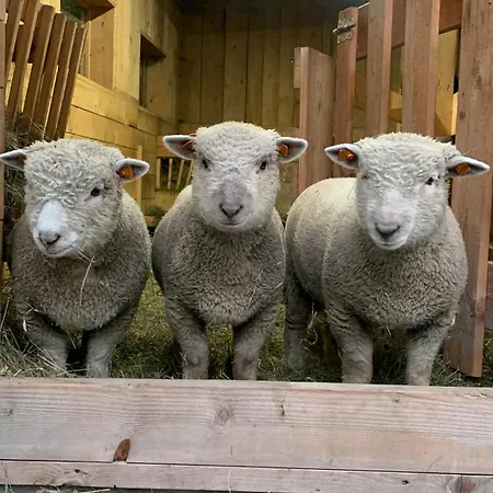 Goscinne Jurgowianka Jurgów