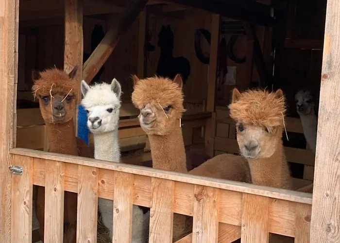 Goscinne Jurgowianka Κατάλυμα σε φάρμα