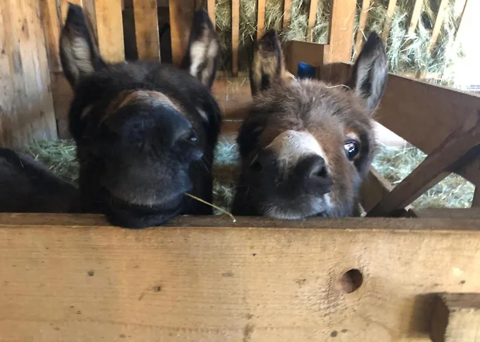 Goscinne Jurgowianka Vakantieboerderij Jurgów